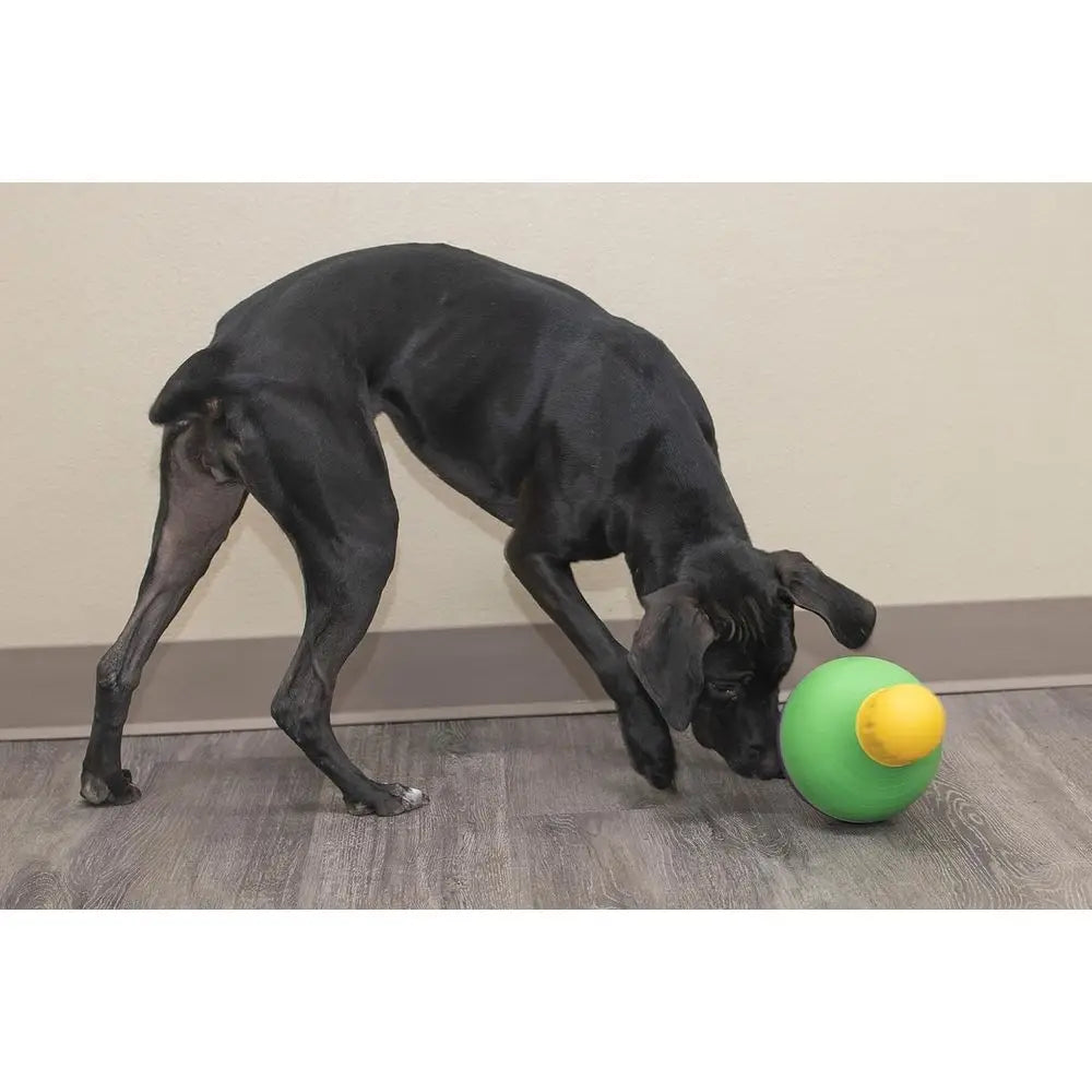 Bob-A-Lot Interactive Dog Pet Toy, Large, Yellow/Green/ple