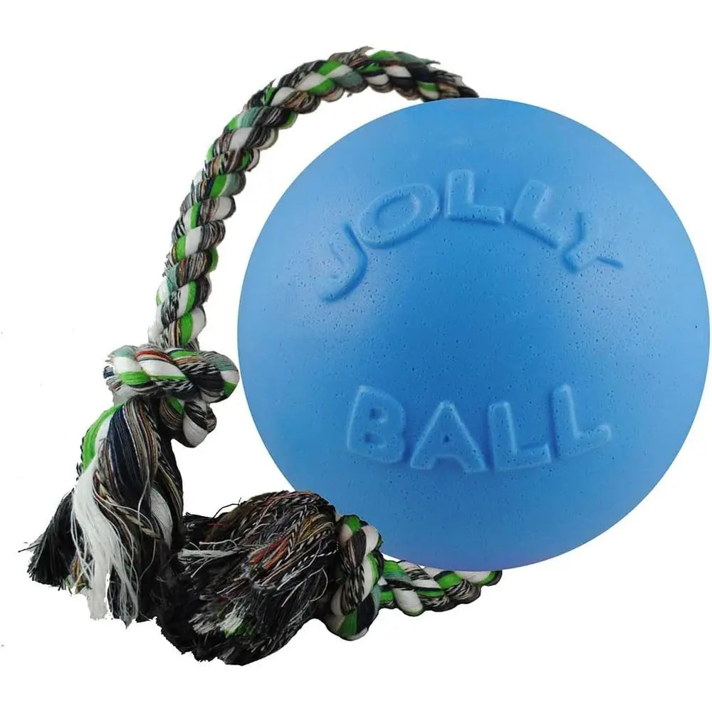 Romp-n-Roll Rope and Ball Dog Toy, 6 Inches/Medium, Blueberry, Number: 606 BB, All Breed Sizes