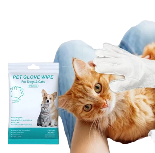 Premium Pet Cleaning Gloves And Gentle Hygiene Wipes For Dogs