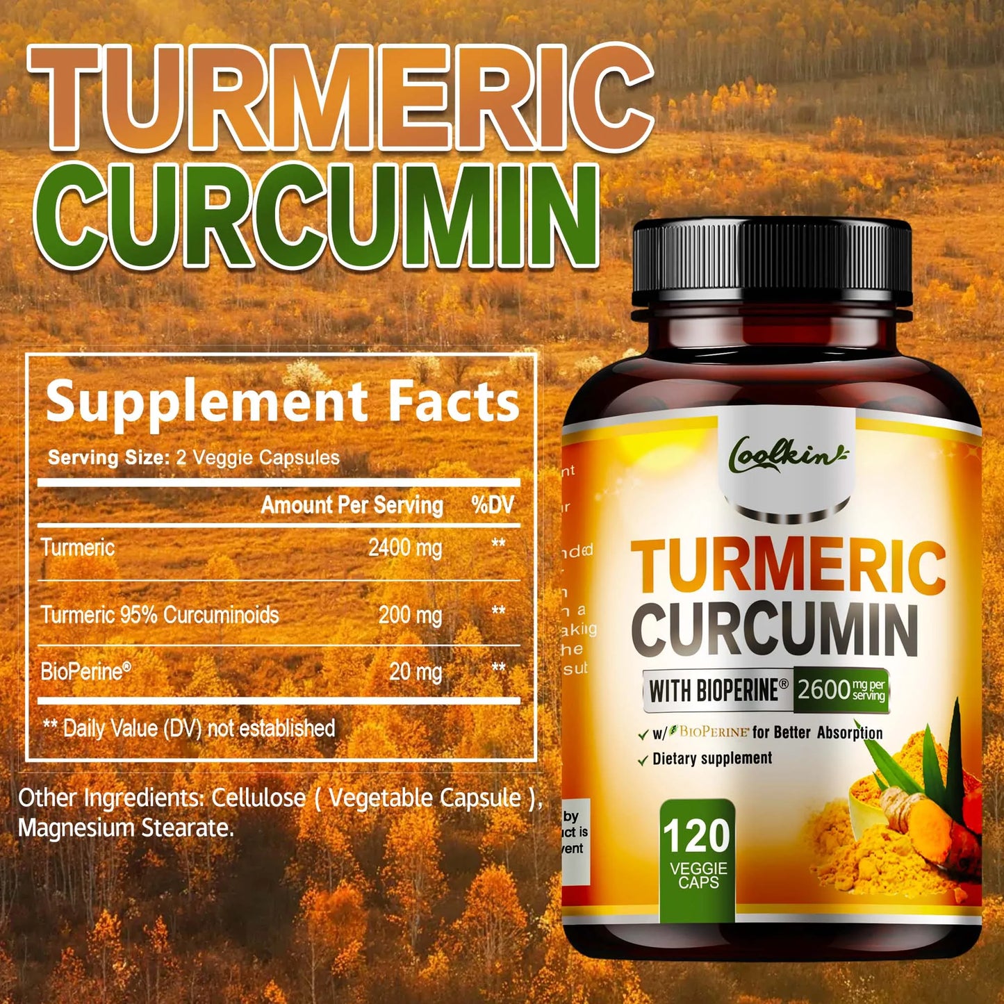 Coolkin Turmeric Curcumin With Bioperine Highly Absorbable Supplement