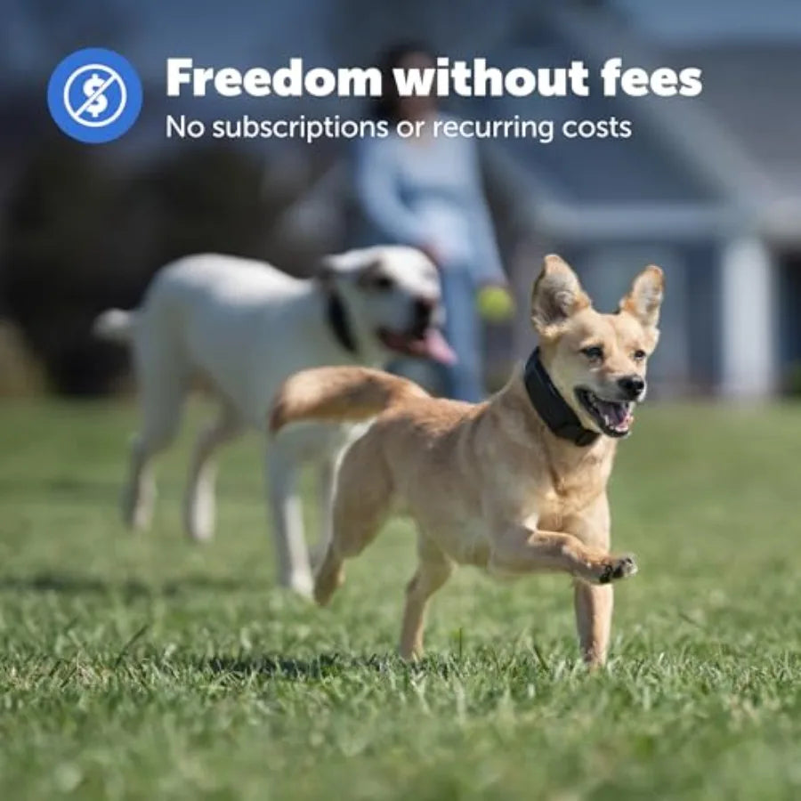 Guardian GPS Dog Fence - Advanced AccuGuard Technology - Wireless Virtual Fence - No Subscription Required - Waterproof Collar