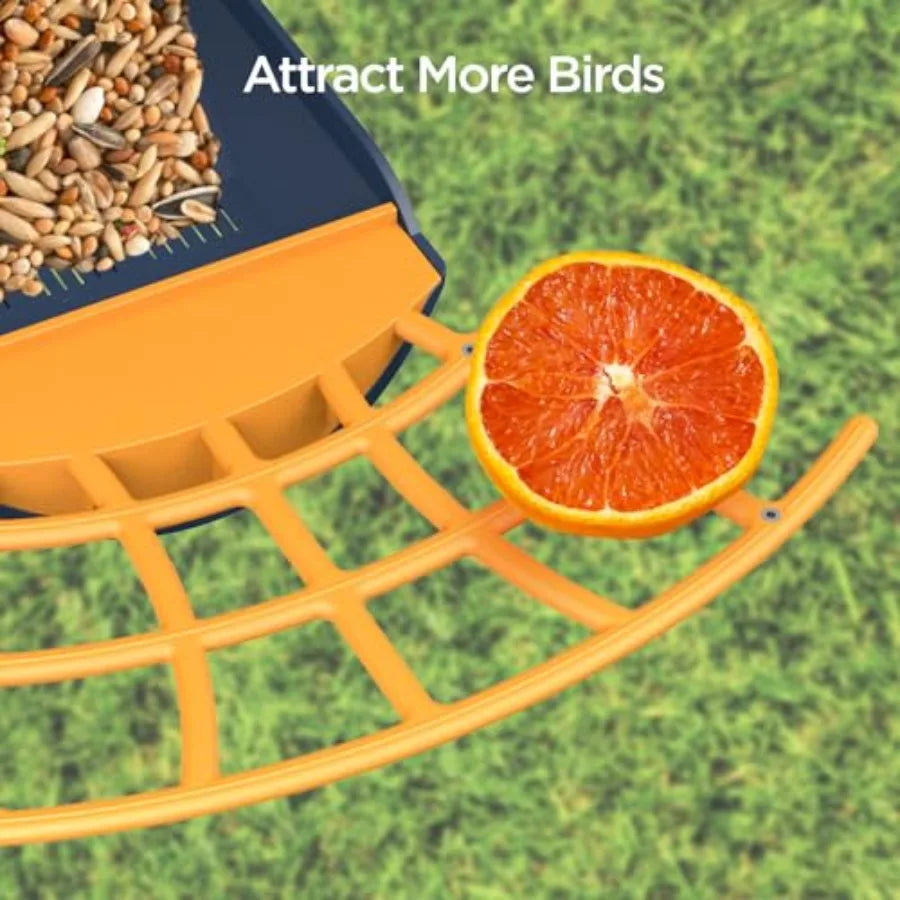Smart Bird Feeder with Camera, Birds Watching Camera, Auto Capture Birds Videos Motion Detection, AI Identify Species, Wireless