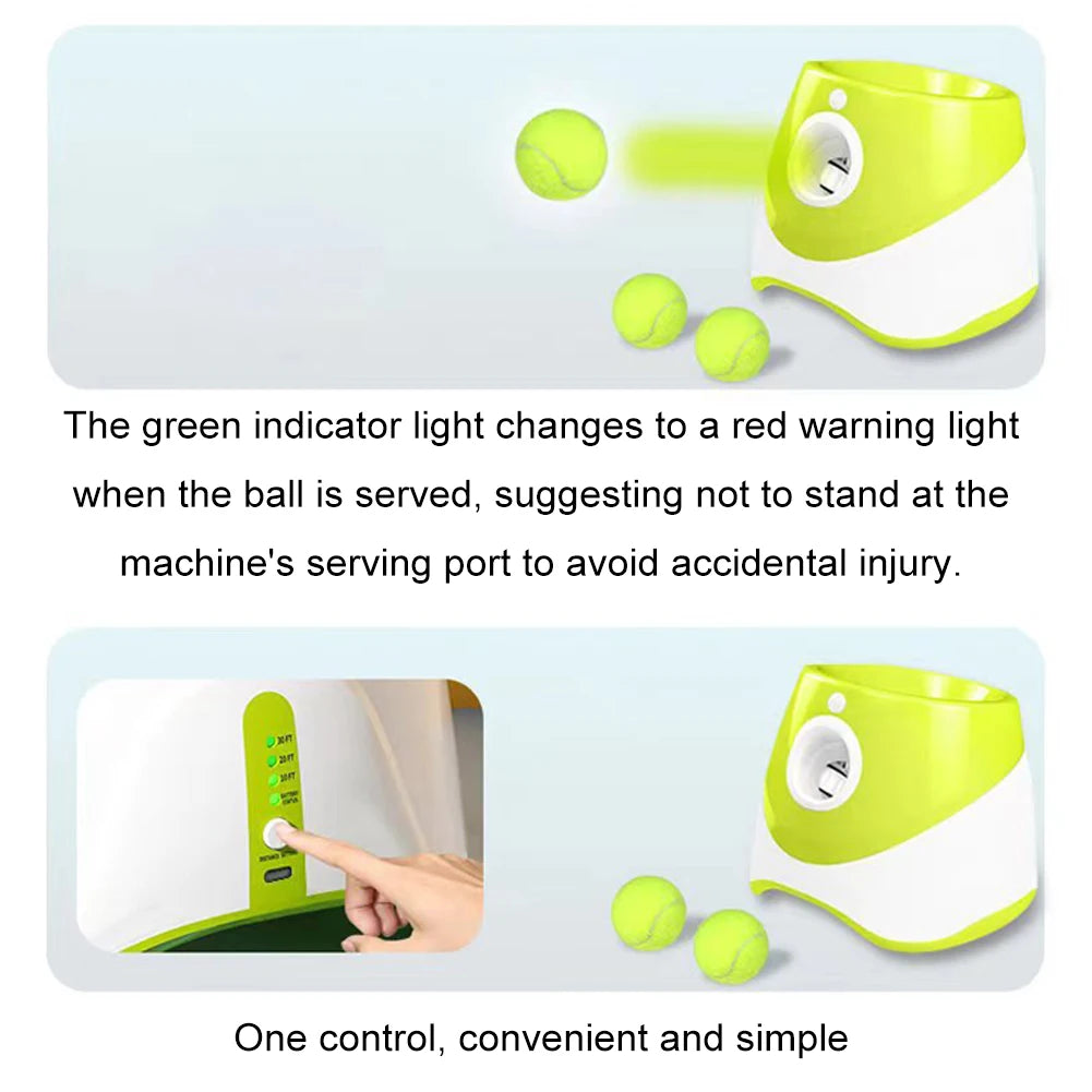Automatic Dog Ball Thrower With 3 Balls