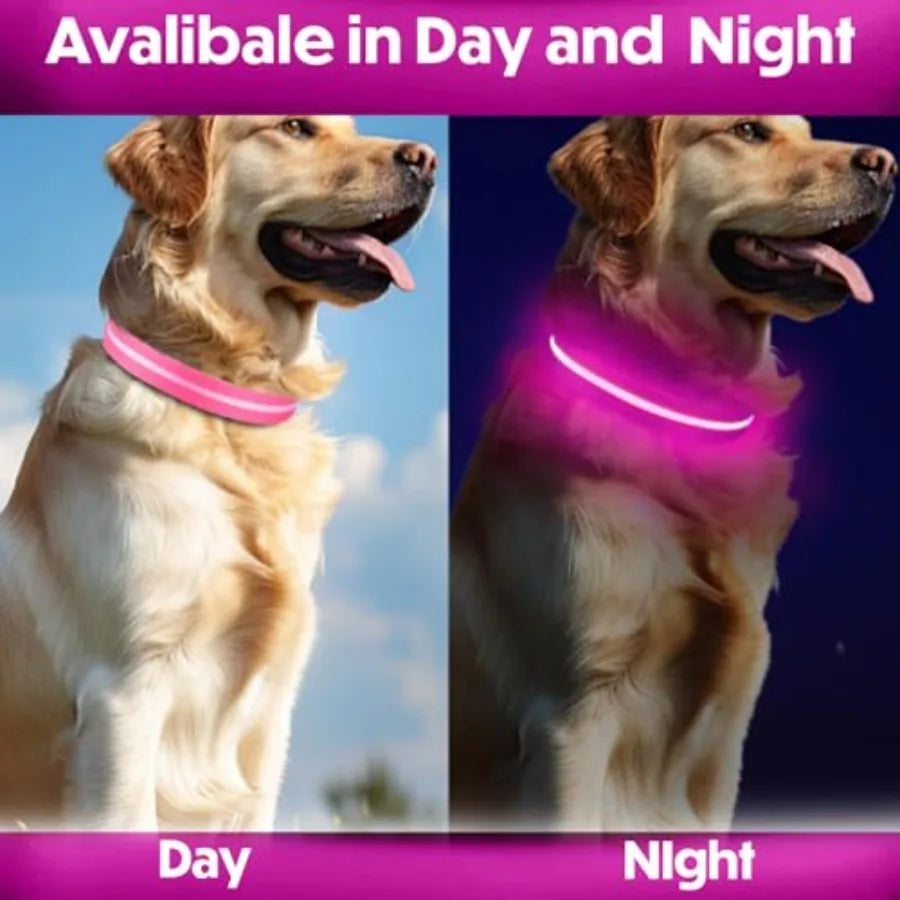 Light Up Dog Collar Reflective, Adjustable and Rechargeable Electronic Glow Pet Collars Bright, Comfortable, High Visibility LE