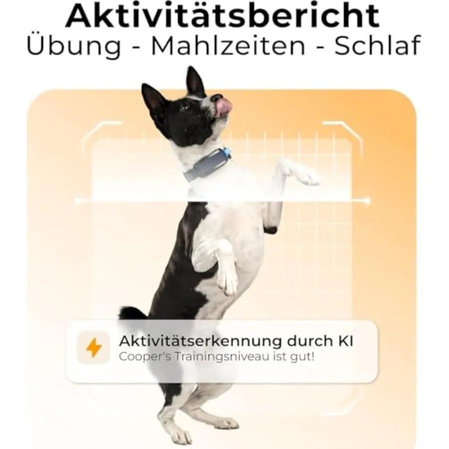Compact Lightwght Dog Health GPS Tracker with Cardiac and Respiratory Scan Real-time Location Monitoring and Activity Well-bng