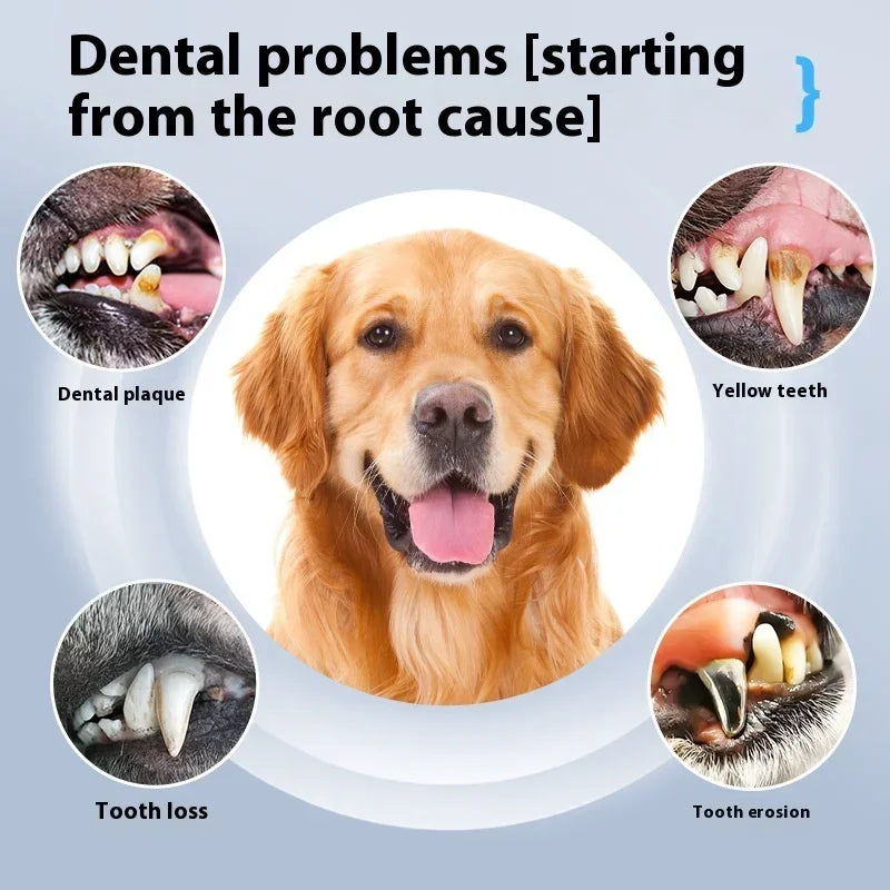 Dog Cat Grooming Smart Dental Ultrasonic Scaler Household Tooth Stone Remover Tooth CleanerTooth Whitening Oral Cleaning Tools