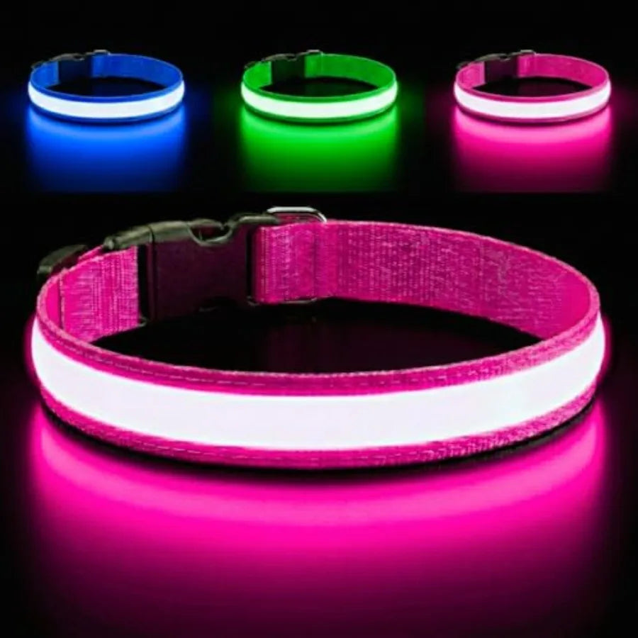 Light Up Dog Collar Reflective, Adjustable and Rechargeable Electronic Glow Pet Collars Bright, Comfortable, High Visibility LE