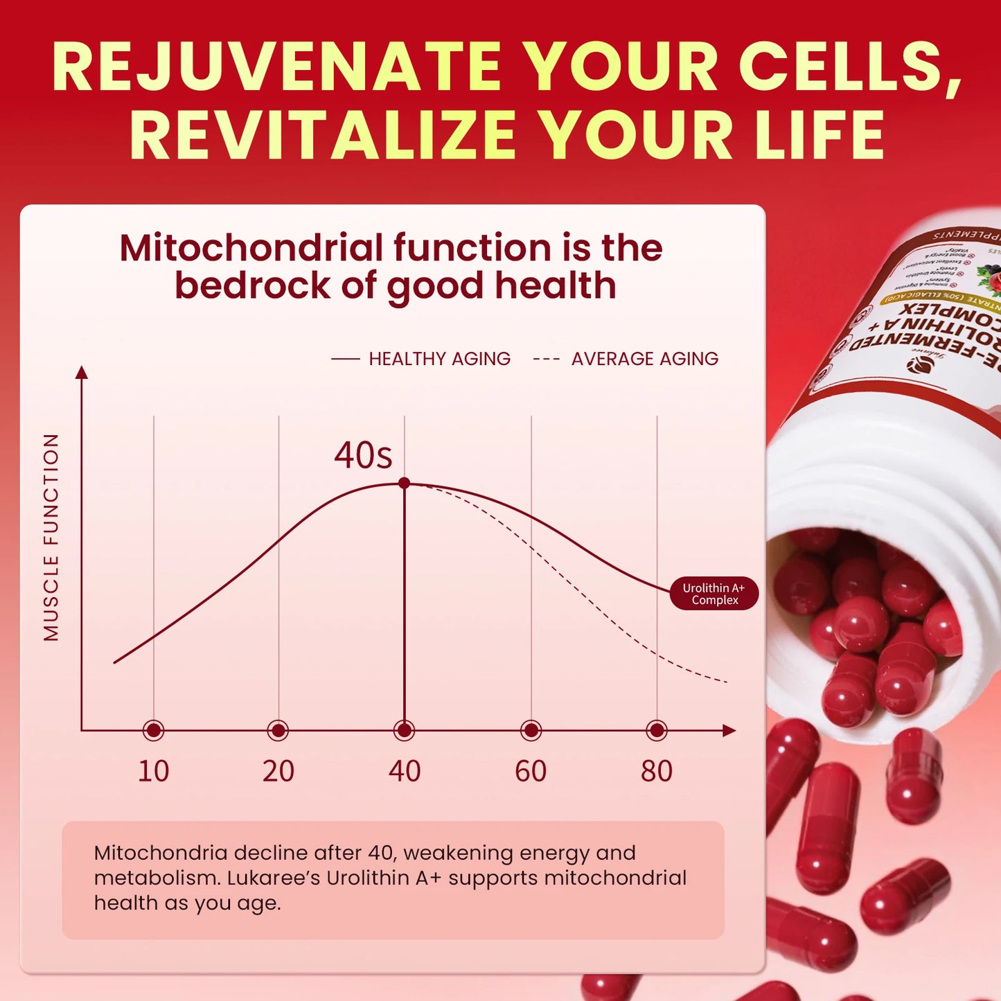 Lukaree Pre-fermentation Urolithin A+Complex Blend Promotes Cellular Repair Enhances Mental Clarity,Digestive Health Support
