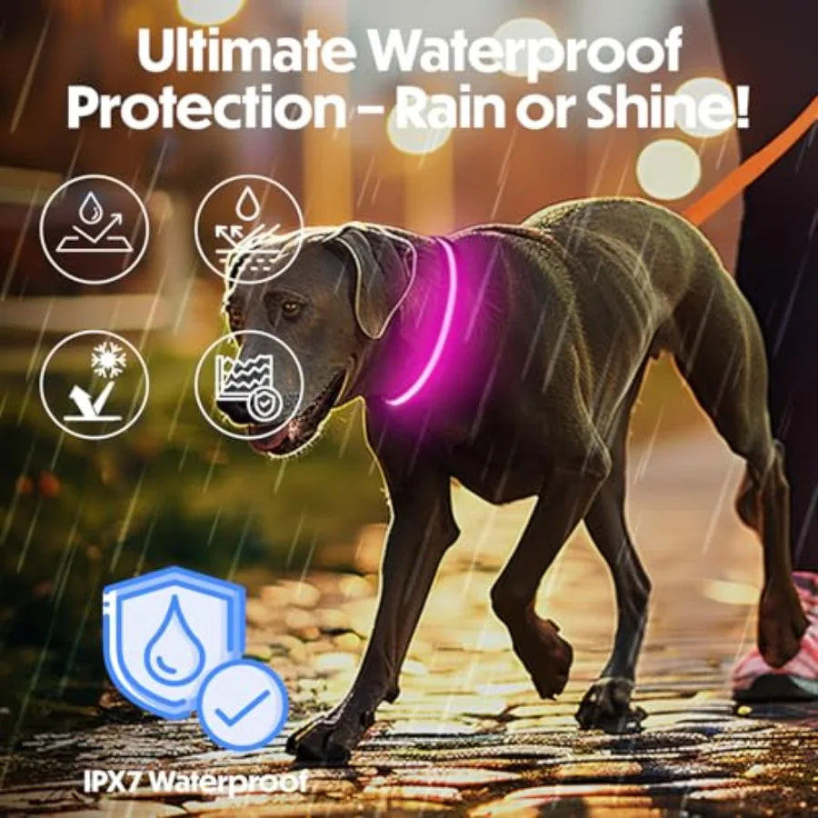 Light Up Dog Collar Reflective, Adjustable and Rechargeable Electronic Glow Pet Collars Bright, Comfortable, High Visibility LE