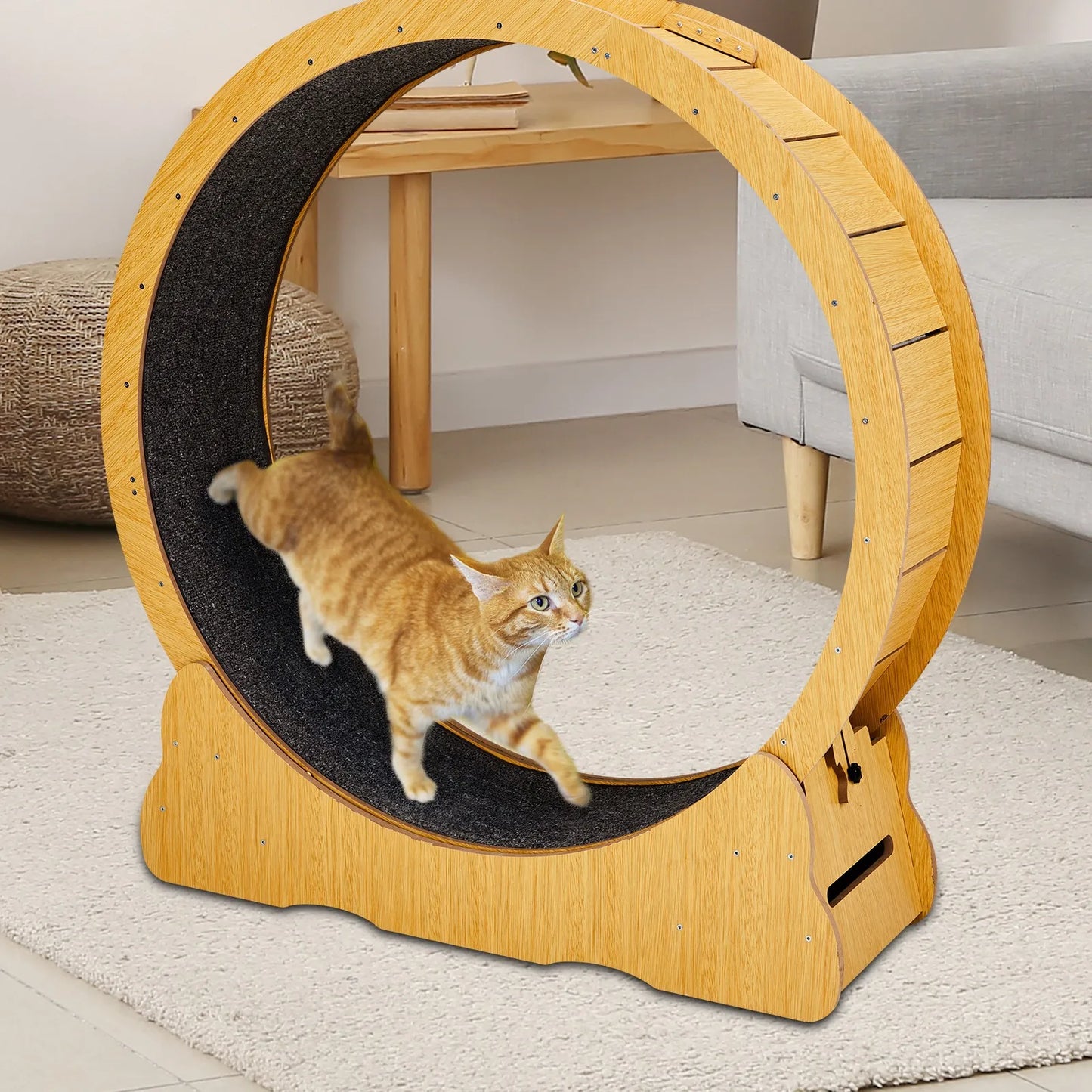 Indoor 34in Large Cat Treadmill for Natural Wood Cats Exerciser Wheel Toys