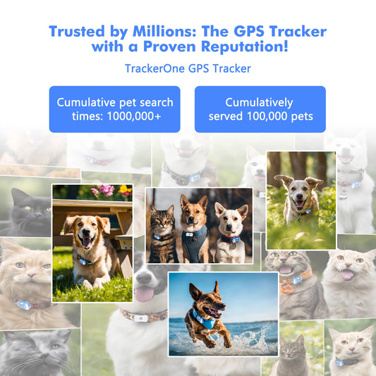 GPS Pet Tracker for Dogs Cats Real Time Tracking Unlimited Distance QR Code Anti-Lost Locator with 1-year Service