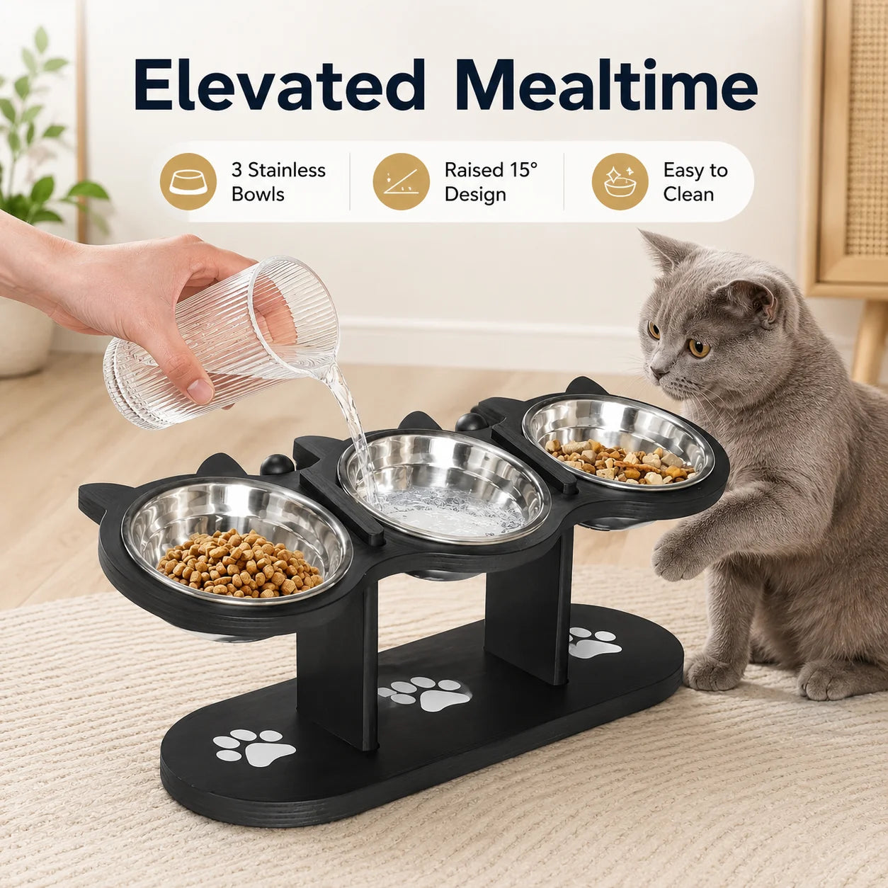 15° Tilted Elevated Cat Bowl Stand with 3 Stainless Steel Bowls for Cats, Puppies and Small Pets, Detachable, Easy to Clean