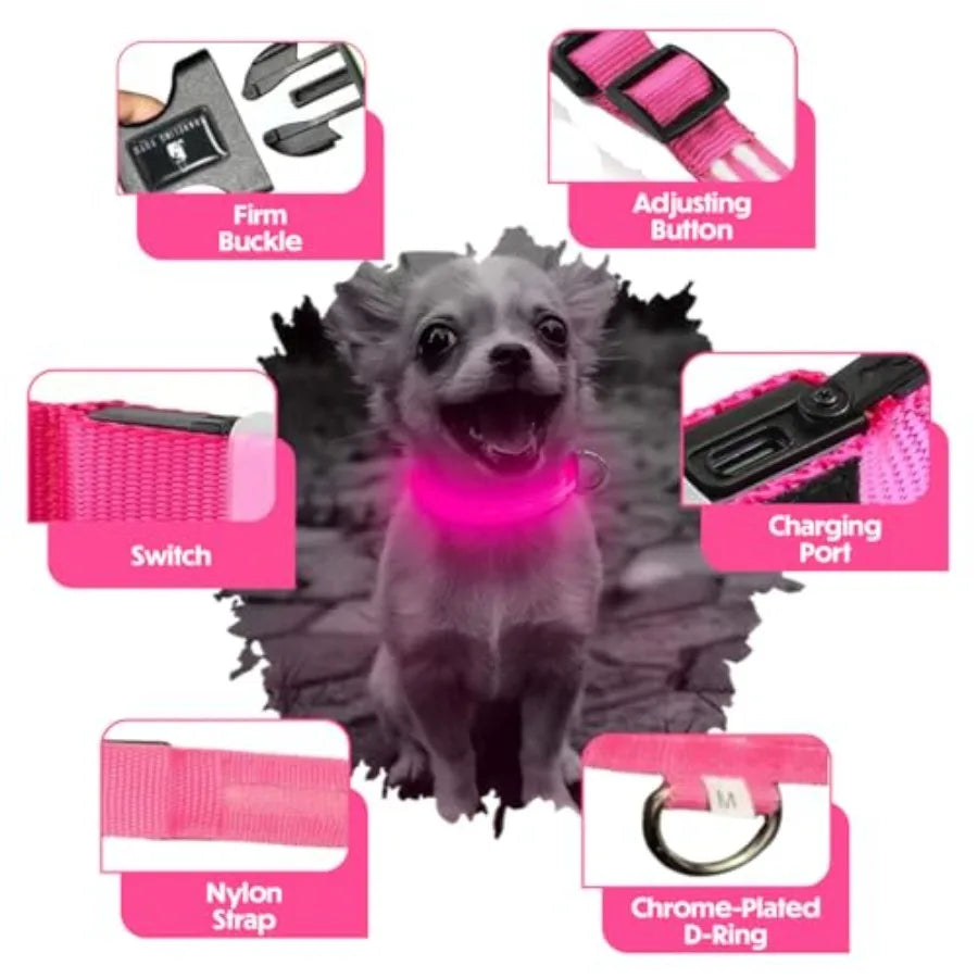 Light Up Dog Collar Reflective, Adjustable and Rechargeable Electronic Glow Pet Collars Bright, Comfortable, High Visibility LE
