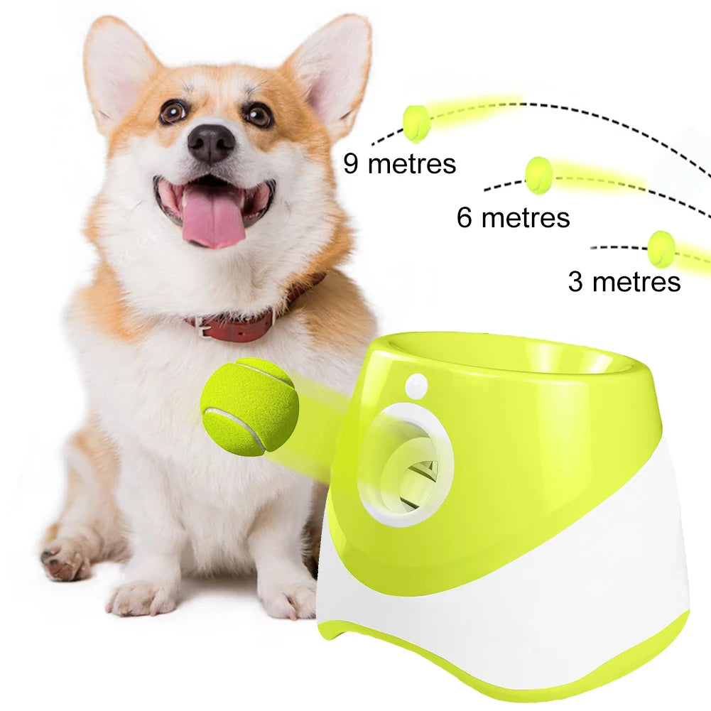 Automatic Dog Ball Thrower With 3 Balls