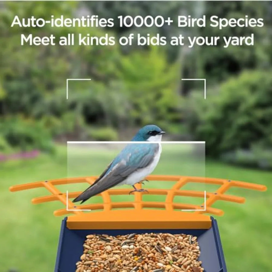 Smart Bird Feeder with Camera, Birds Watching Camera, Auto Capture Birds Videos Motion Detection, AI Identify Species, Wireless