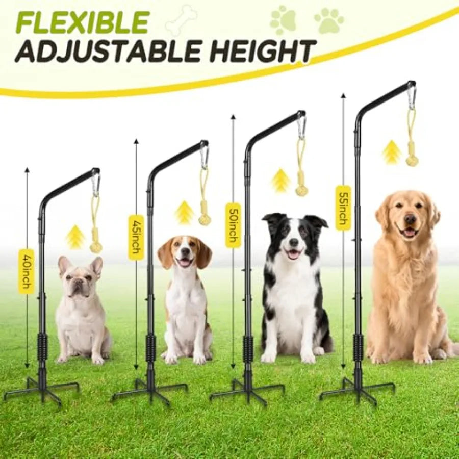 Tether Outdoor Dog Rope Toy with Strengthen Spring Pole 3 Kinds Dog Tug of War Toys for Self Play and Interactive in Park Yard