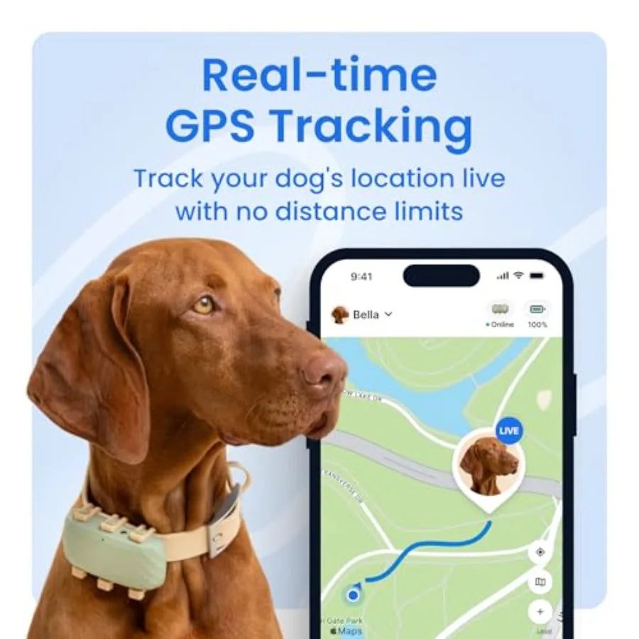 XL Smart Dog GPS Tracker with Live Location Virtual Fence Heart and Respiratory Rate Monitoring Up to 1-Month Battery Life Gree