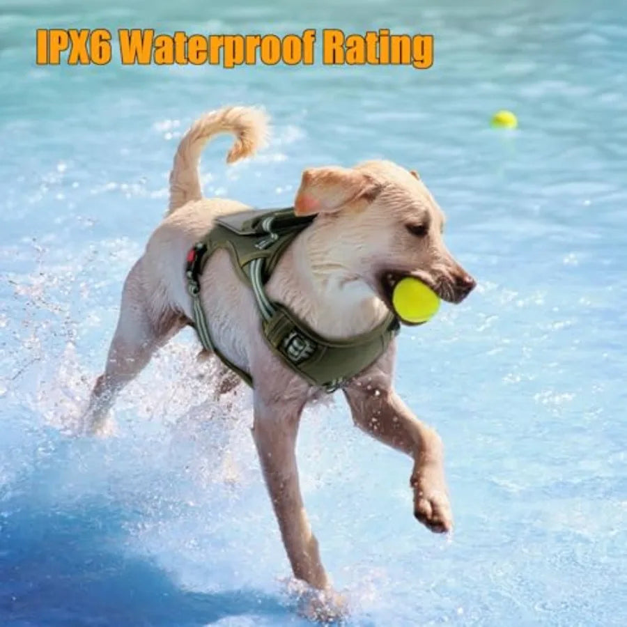 Solar-Powered GPS Tracker Vest for Dogs Cats Waterproof Lightwght Real-Time Pet Locator No Subscription Track History iOS Andro