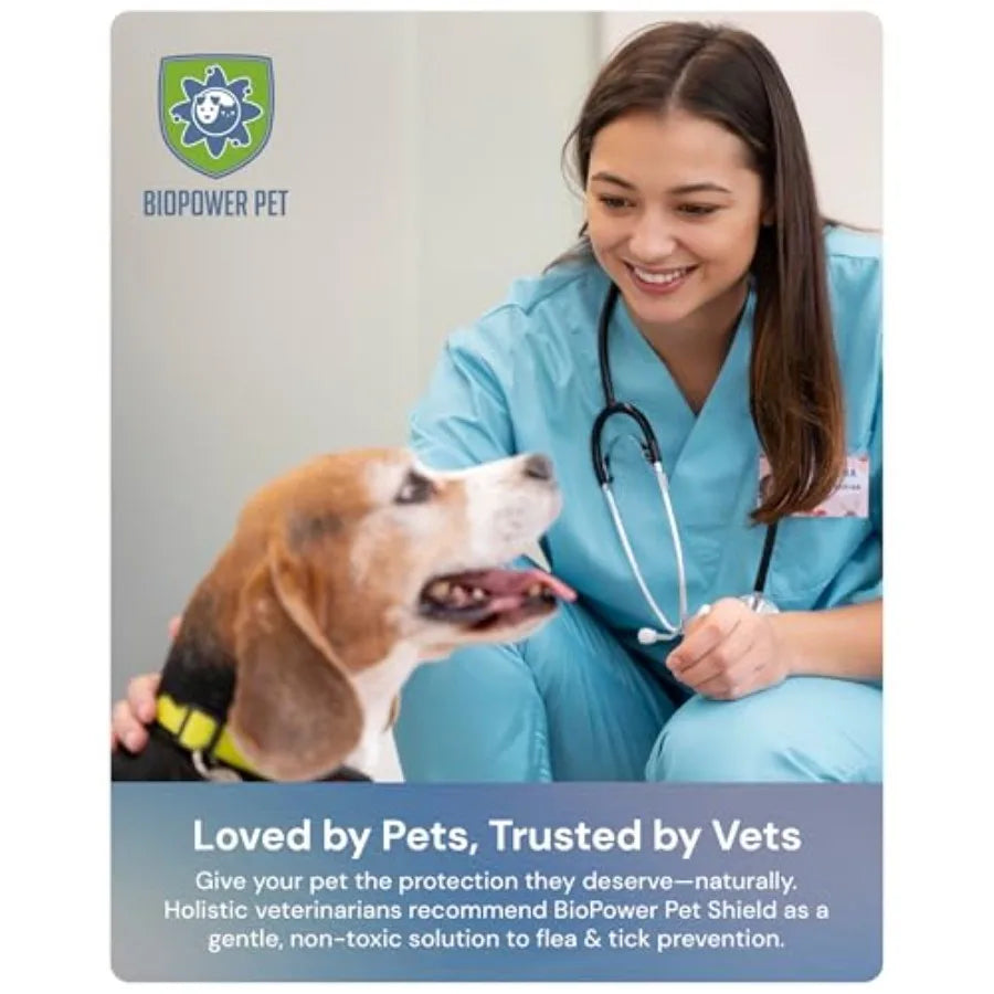 Natural Flea Tick Repellent Collar Tag for Dogs Cats Shield Safe for Pets When Used as Directed Lasts 1 Full Year Regular Tag 1