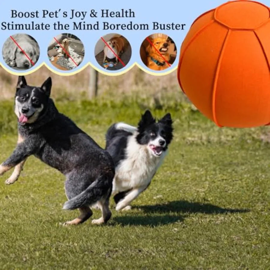 Herding Ball for Dogs Dual Layered Herding Dog Ball Set for Australian Shepherd Cattle Collie for Dog Agility Equipment- Free T