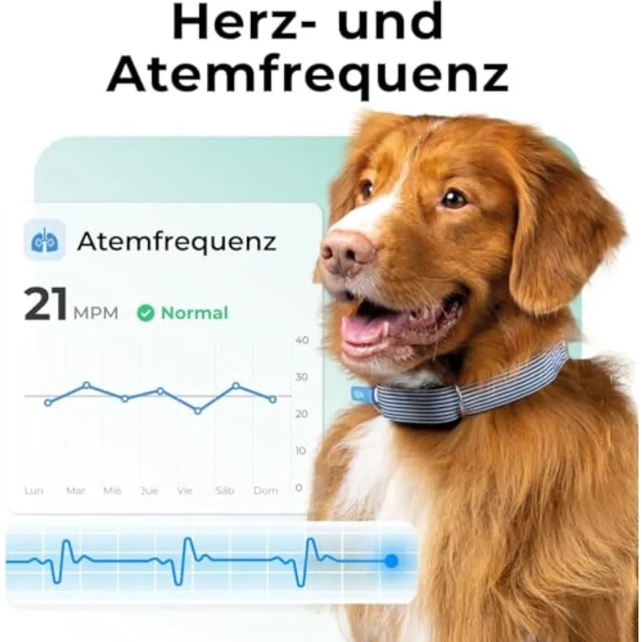 Compact Lightwght Dog Health GPS Tracker with Cardiac and Respiratory Scan Real-time Location Monitoring and Activity Well-bng