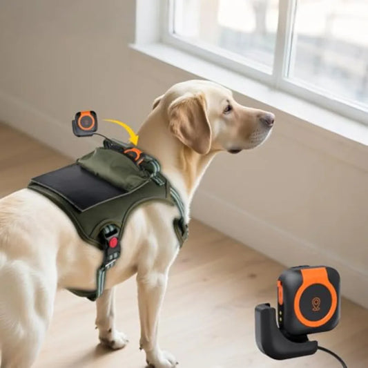 Solar-Powered GPS Tracker Vest for Dogs Cats Waterproof Lightwght Real-Time Pet Locator No Subscription Track History iOS Andro