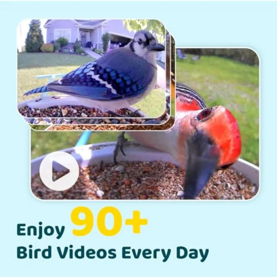 by Birdfy Smart Bird Feeder with Camera AI Identifies Birds Species 2MP Night Vision App Alerts, 2.4Ghz Wi-Fi Connect IP65 Weat