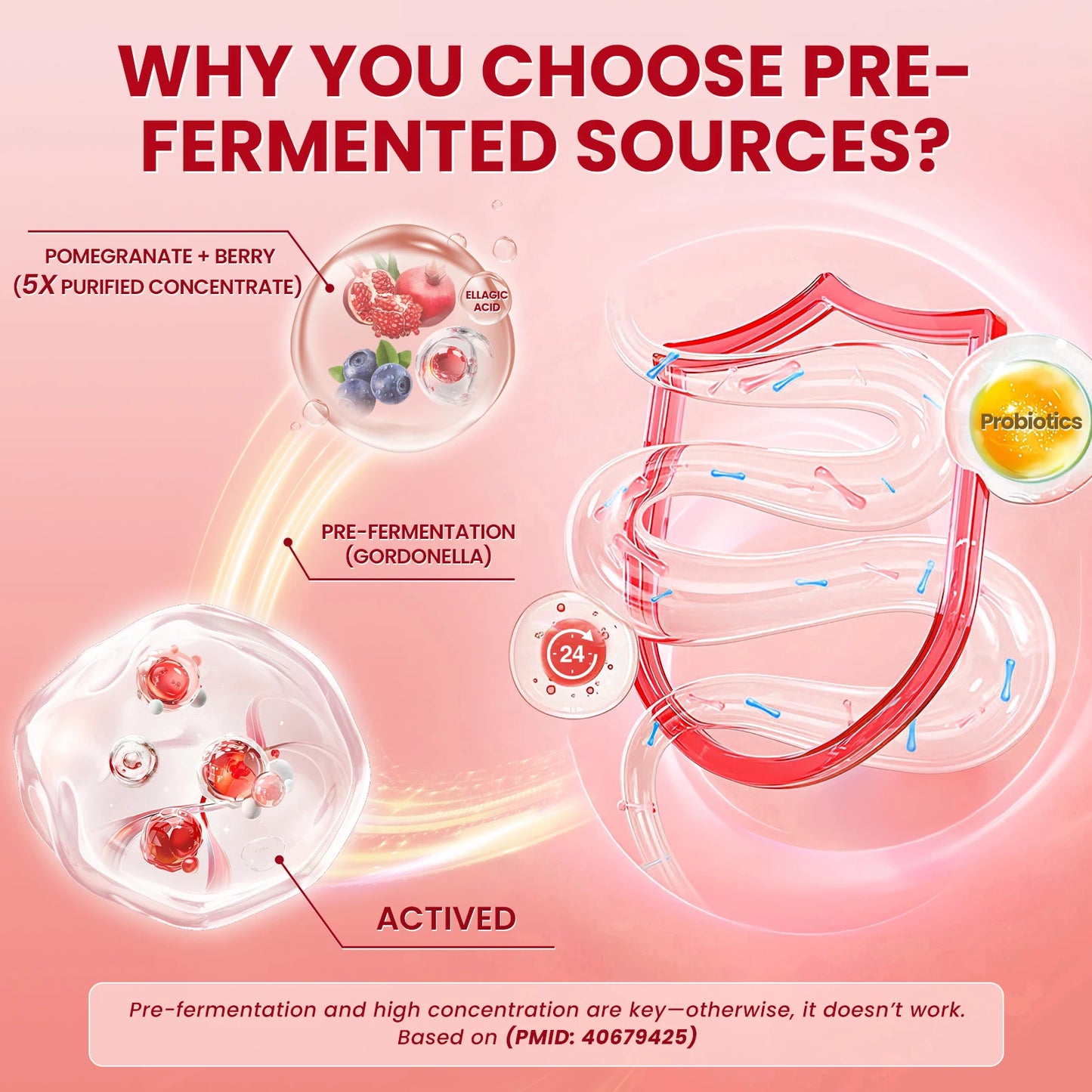 Lukaree Pre-fermentation Urolithin A+Complex Blend Promotes Cellular Repair Enhances Mental Clarity,Digestive Health Support