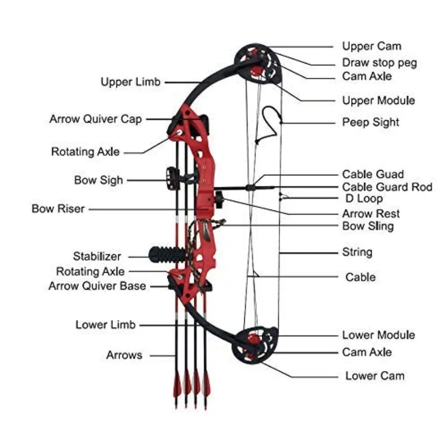 Compound Bow Archery for Youth and Beginner, Right Handed, 19-28 Draw Length, 15-29 Lbs Draw Weight, 260 fps