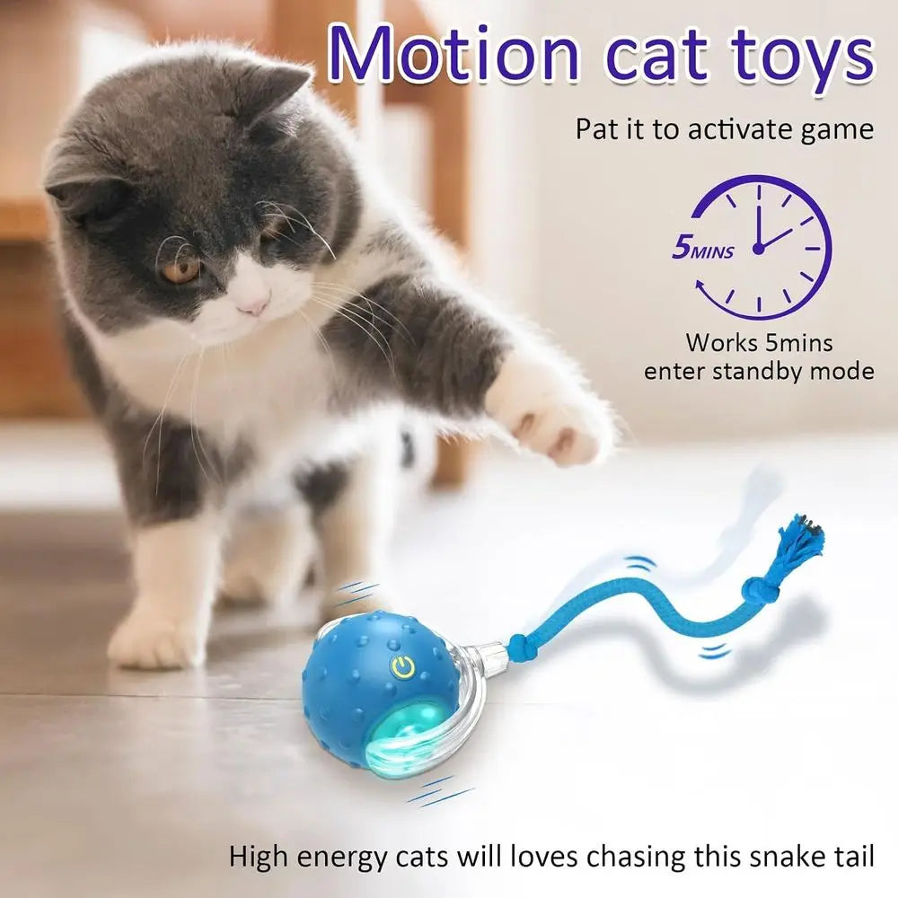 Interactive Cat Toys Ball Indoor Cats Rolling on Carpet, Chirping & Motion Activated Cat Toys (Blue)
