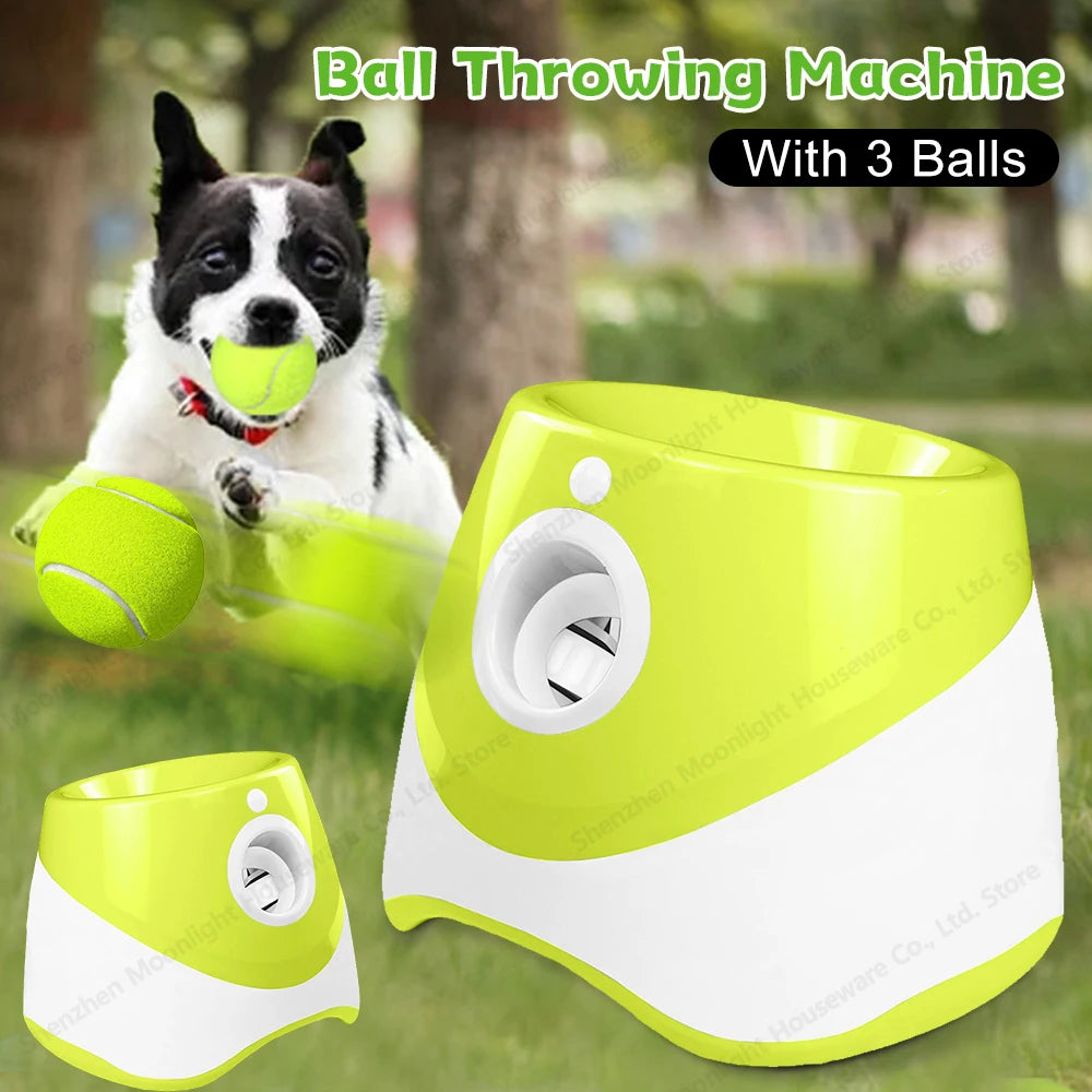 Automatic Dog Ball Thrower With 3 Balls