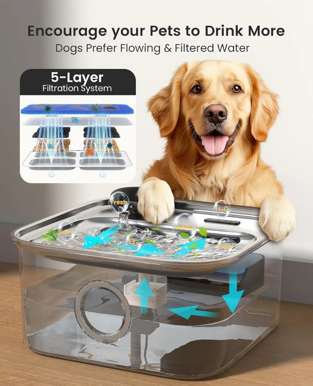 10L/2.6Gal Stainless Steel Dog Water Fountain for Large Breeds, Automatic Dispenser with Wide Deep Bowl, Triple Filtration & Quiet Pump