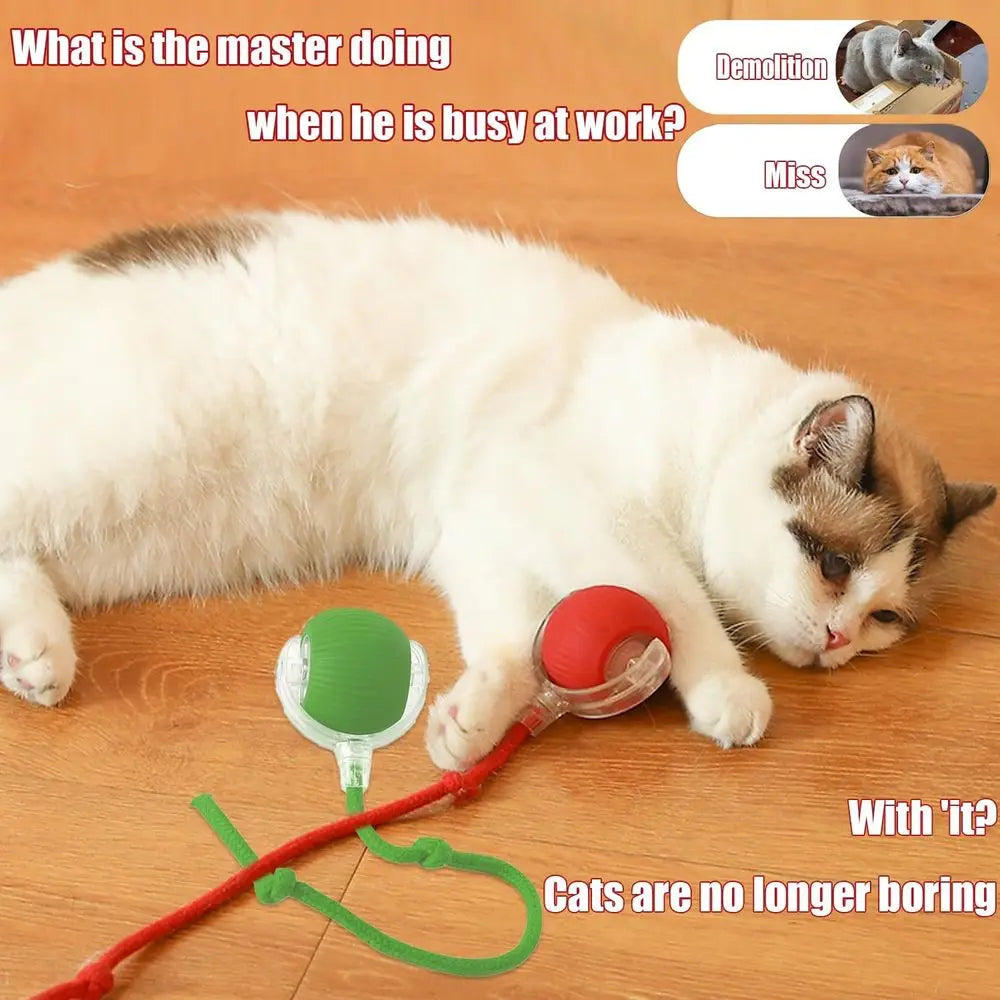 New Interactive Dog Cat Toys Balls, Interactive Rolling Ball Cat Toy, 360° Smart Automatic Rolling Pet Ball, Ast Moving Toy for