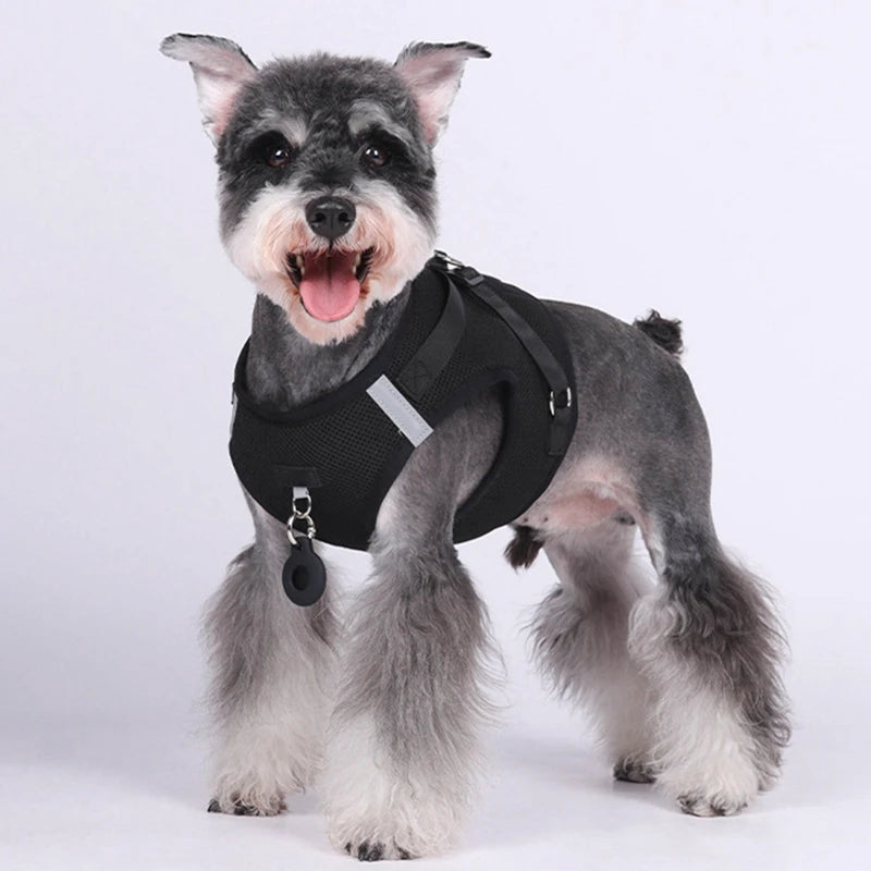 Pet Harness With AirTag Tracker And Leash Set