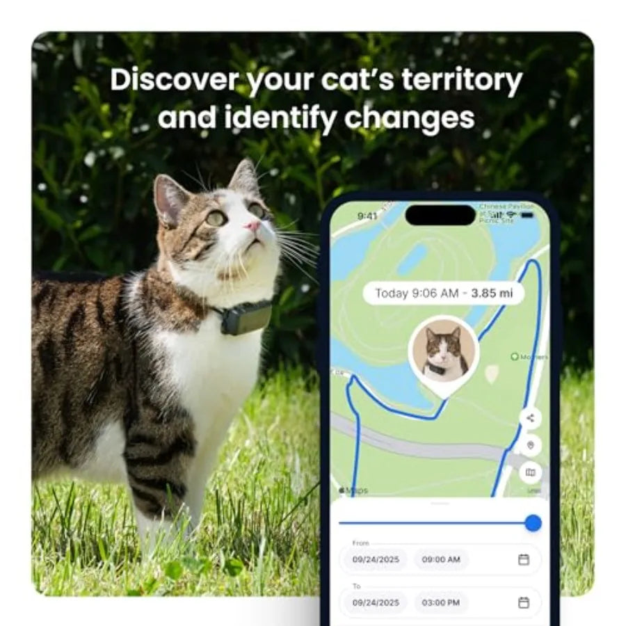 XL Smart Dog GPS Tracker with Live Location Virtual Fence Heart and Respiratory Rate Monitoring Up to 1-Month Battery Life Gree