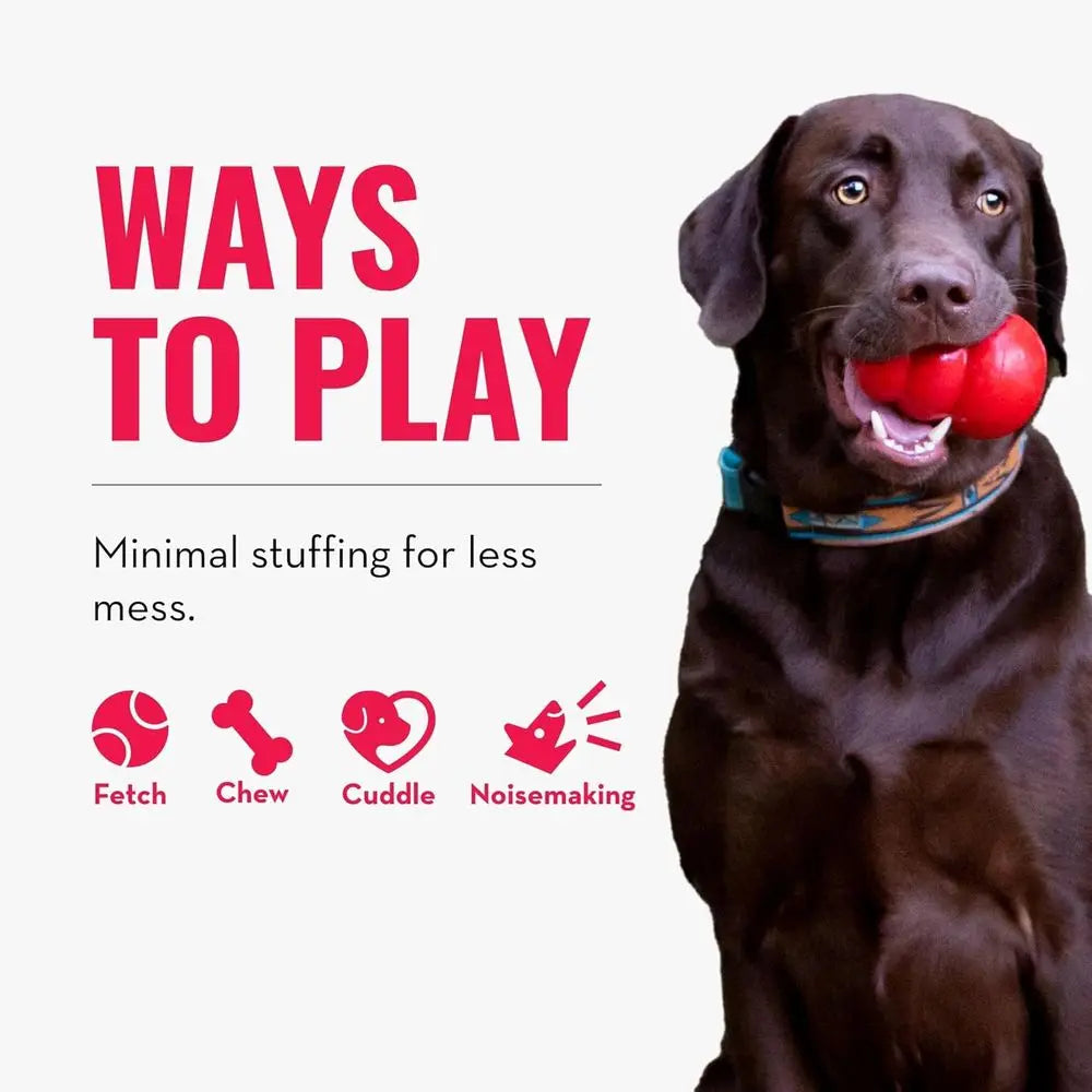Wild Knots Bears Durable Dog Toys with Internal Knotted Ropes Minimal Staining Assorted Colors Medium/Large