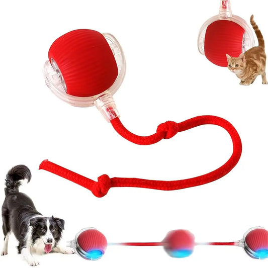 New Interactive Dog Cat Toys Balls, Interactive Rolling Ball Cat Toy, 360° Smart Automatic Rolling Pet Ball, Ast Moving Toy for