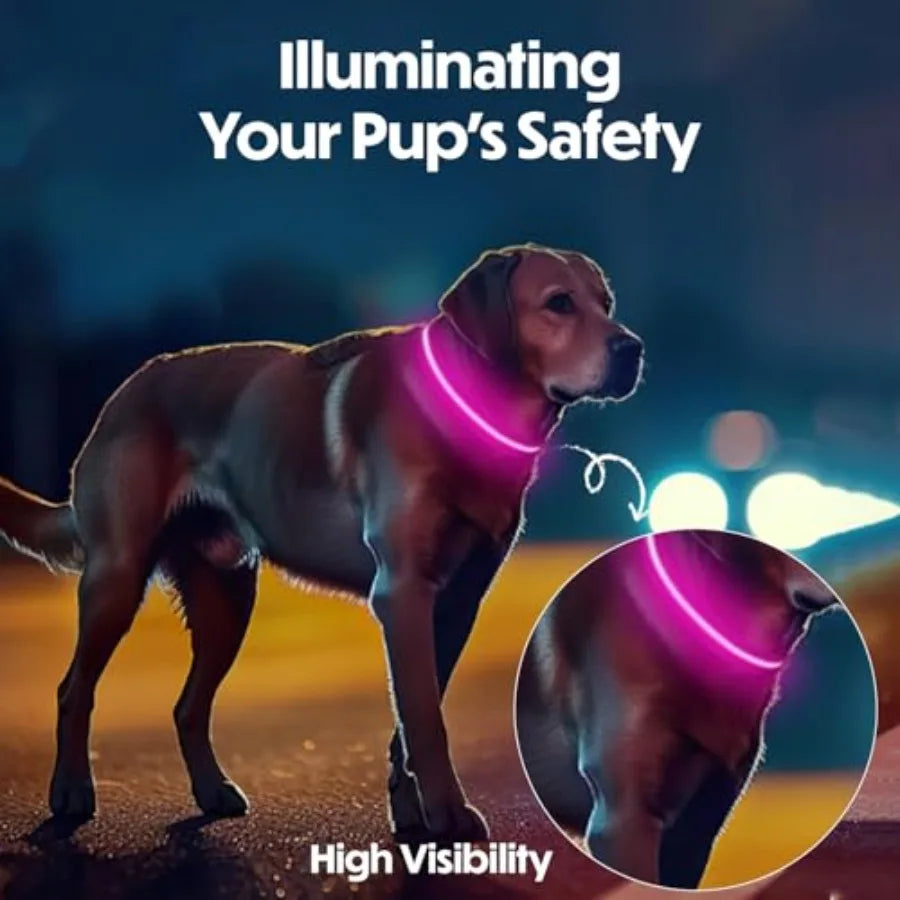 Light Up Dog Collar Reflective, Adjustable and Rechargeable Electronic Glow Pet Collars Bright, Comfortable, High Visibility LE