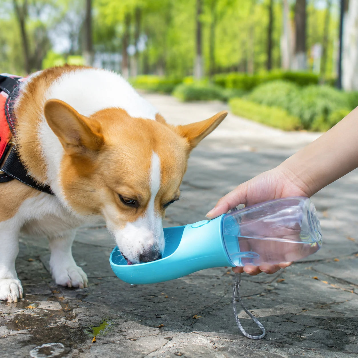 Portable Dog Water Bottle with Food Container, Leak-Resistant 3-in-1 Pet Travel Dispenser with Bowl for Small Dogs and Cats