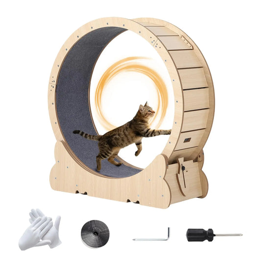 39.4inch Cat Exercise Wheel, Cat Running Wheel for Indoor Cats, Cats Treadmill Wheels with Quiet Carpeted Runway & Locking Mechanis