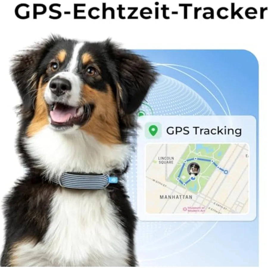 Compact Lightwght Dog Health GPS Tracker with Cardiac and Respiratory Scan Real-time Location Monitoring and Activity Well-bng