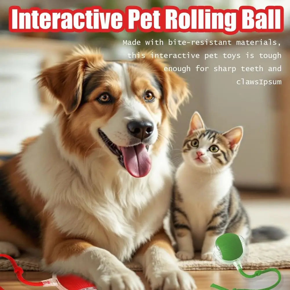 New Interactive Dog Cat Toys Balls, Interactive Rolling Ball Cat Toy, 360° Smart Automatic Rolling Pet Ball, Ast Moving Toy for