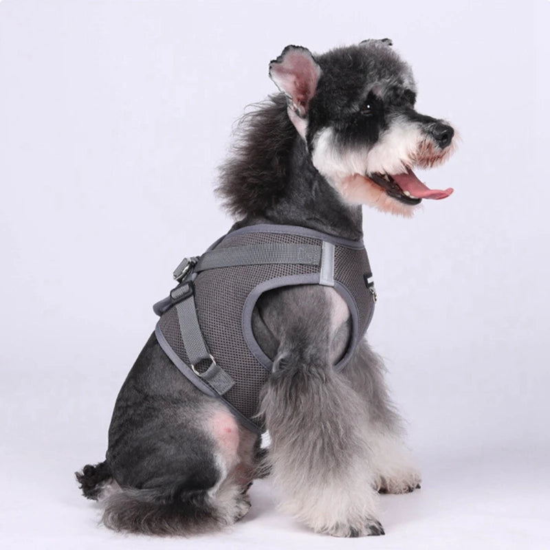 Pet Harness With AirTag Tracker And Leash Set
