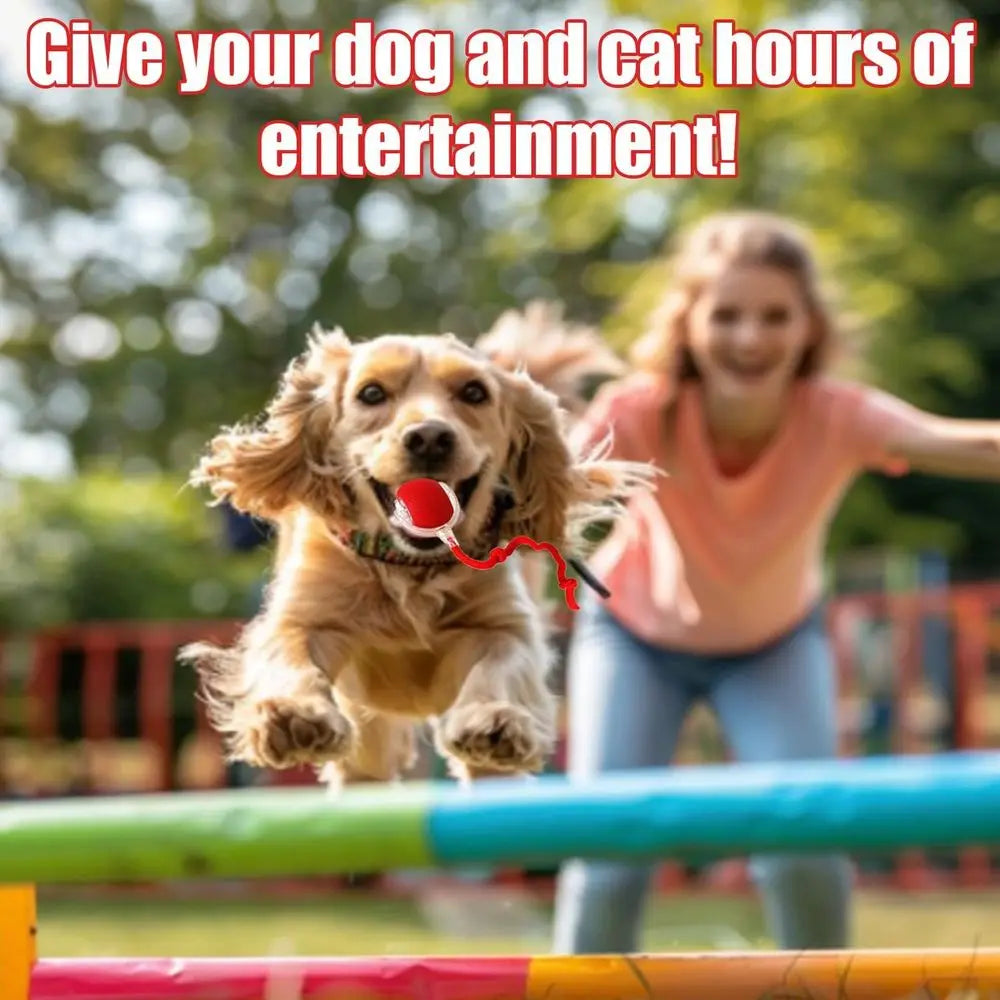 New Interactive Dog Cat Toys Balls, Interactive Rolling Ball Cat Toy, 360° Smart Automatic Rolling Pet Ball, Ast Moving Toy for