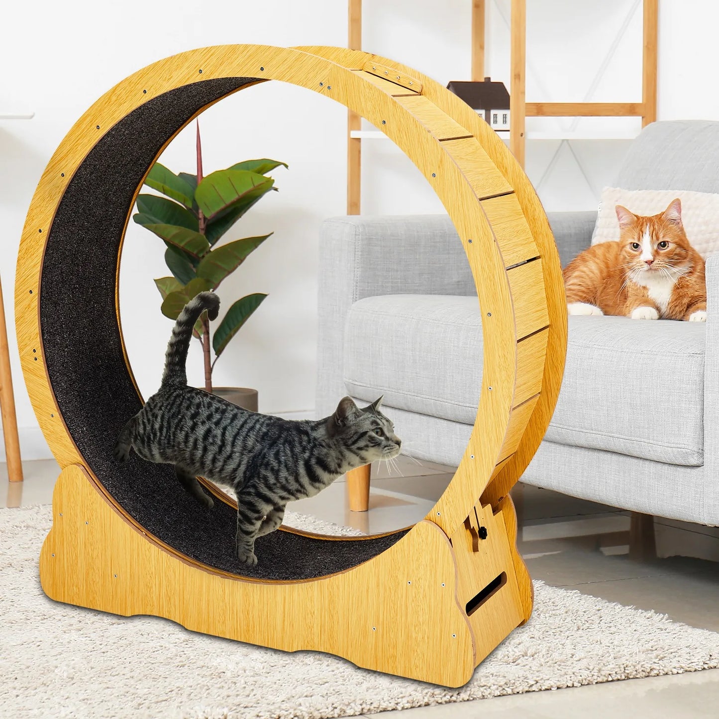 Indoor 34in Large Cat Treadmill for Natural Wood Cats Exerciser Wheel Toys