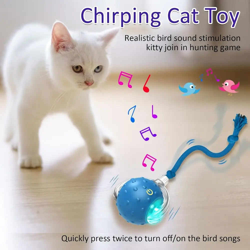 Interactive Cat Toys Ball Indoor Cats Rolling on Carpet, Chirping & Motion Activated Cat Toys (Blue)