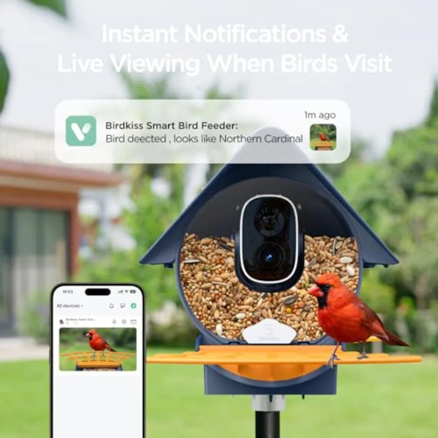Smart Bird Feeder with Camera, Birds Watching Camera, Auto Capture Birds Videos Motion Detection, AI Identify Species, Wireless