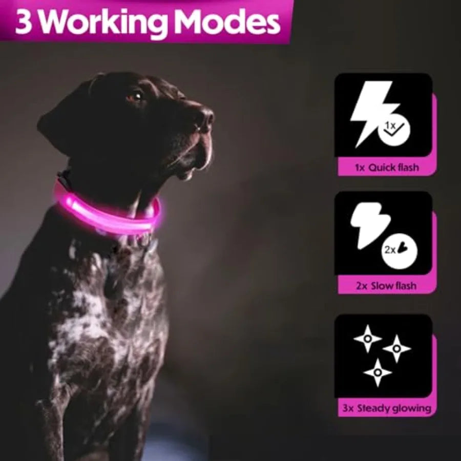 Light Up Dog Collar Reflective, Adjustable and Rechargeable Electronic Glow Pet Collars Bright, Comfortable, High Visibility LE